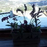 Bed & Breakfast A Casa Delle Fate