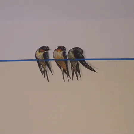 Bed & Breakfast A Casa Delle Fate 3*