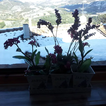 Bed & Breakfast A Casa Delle Fate