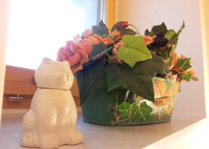 阿卡萨德尔法特住宿加早餐旅馆 阿西西